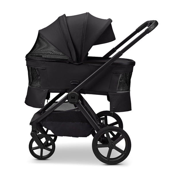 Moon Gio Fold 2026 Onyx