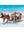 Playmobil Spirit 70397