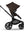 Bugaboo Fox 5 Renew Cocoa Brown