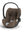 Cloud T i-Size Platinum Coconut Brown (Plus)