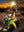 Playmobil Dino Rise 70626
