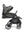 Joie Signature Parcel LX Buggy Evergreen