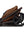 Moon Gio Fold  2026 Cognac