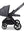 Moon Gio Fold  2026 Graphite