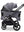 Moon Gio Fold  2026 Graphite