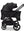 Moon Gio Fold  2026 Onyx