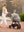 Nuna Kinderwagen Moskitonetz