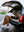 Wonderfold P2 Pet Stroller Grau