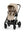 Cybex Talos S Lux 2026 + Babywanne Cot Lux Almond Beige