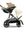 Cybex Gazelle S (Taupe Rahmen)Seashell Beige