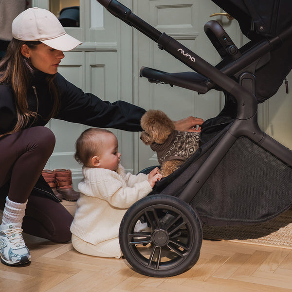 Nuna Demi Icon 2in1 Chestnut + Zubehör