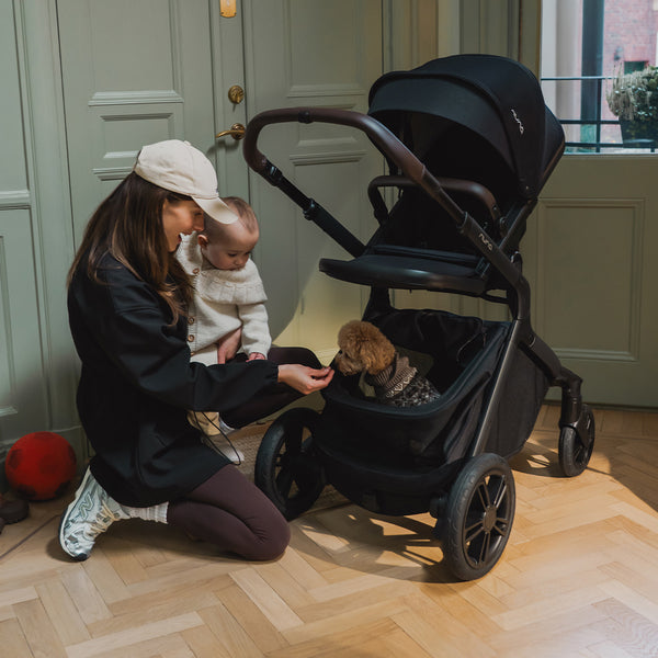 Nuna Demi Icon 2in1 Chestnut + Zubehör
