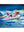 Playmobil 70234