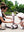 Scoot & Ride HighwayKick 1 Rose