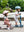 Scoot & Ride HighwayKick 1 Rose